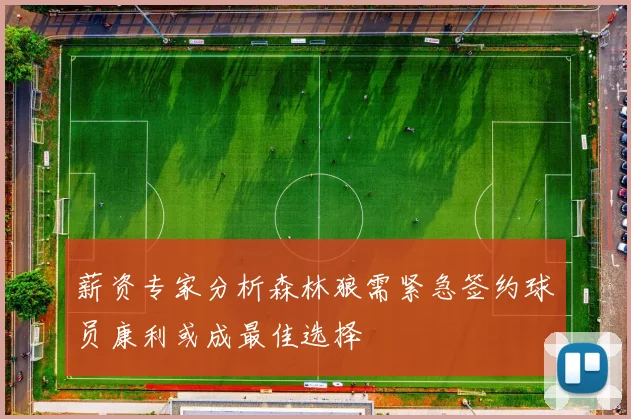 薪资专家分析森林狼需紧急签约球员康利或成最佳选择